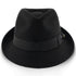 Triumph - Walrus Hats Grey Wool Felt Trilby Hat - H7004